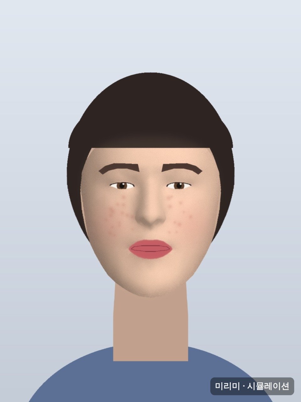 미리미 뷰티·필터를 입힌 예시